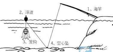 爆料鲢鳙钓法视频教程,视频教程深度解析  第1张