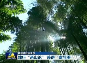 长汀新闻爆料,揭秘当地重大事件背后真相