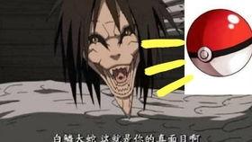 晓蛇爆料视频大全集,揭秘视频大全集精彩瞬间  第3张