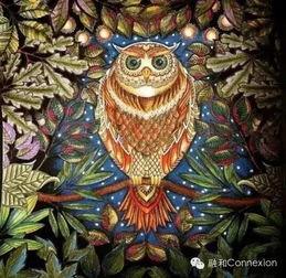 秘密花园在线观看,揭秘秘密花园在线观看之旅  第2张